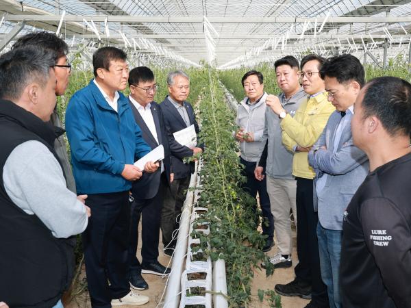 제394회 임시회 농수산위원회 토마토농가 현장방문 간담회 첨부이미지 : 25년10월22일 제394회 임시회 농수산위원회 토마토농가 현장방문 간담회 - 009.jpg