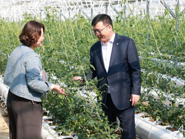 제394회 임시회 농수산위원회 토마토농가 현장방문 간담회 첨부이미지 : 25년10월22일 제394회 임시회 농수산위원회 토마토농가 현장방문 간담회 - 052.jpg