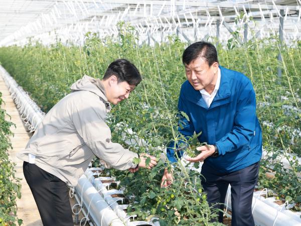 제394회 임시회 농수산위원회 토마토농가 현장방문 간담회 첨부이미지 : 25년10월22일 제394회 임시회 농수산위원회 토마토농가 현장방문 간담회 - 049.jpg