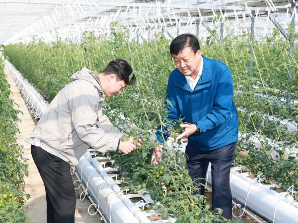 제394회 임시회 농수산위원회 토마토농가 현장방문 간담회 첨부이미지 : 25년10월22일 제394회 임시회 농수산위원회 토마토농가 현장방문 간담회 - 050.jpg