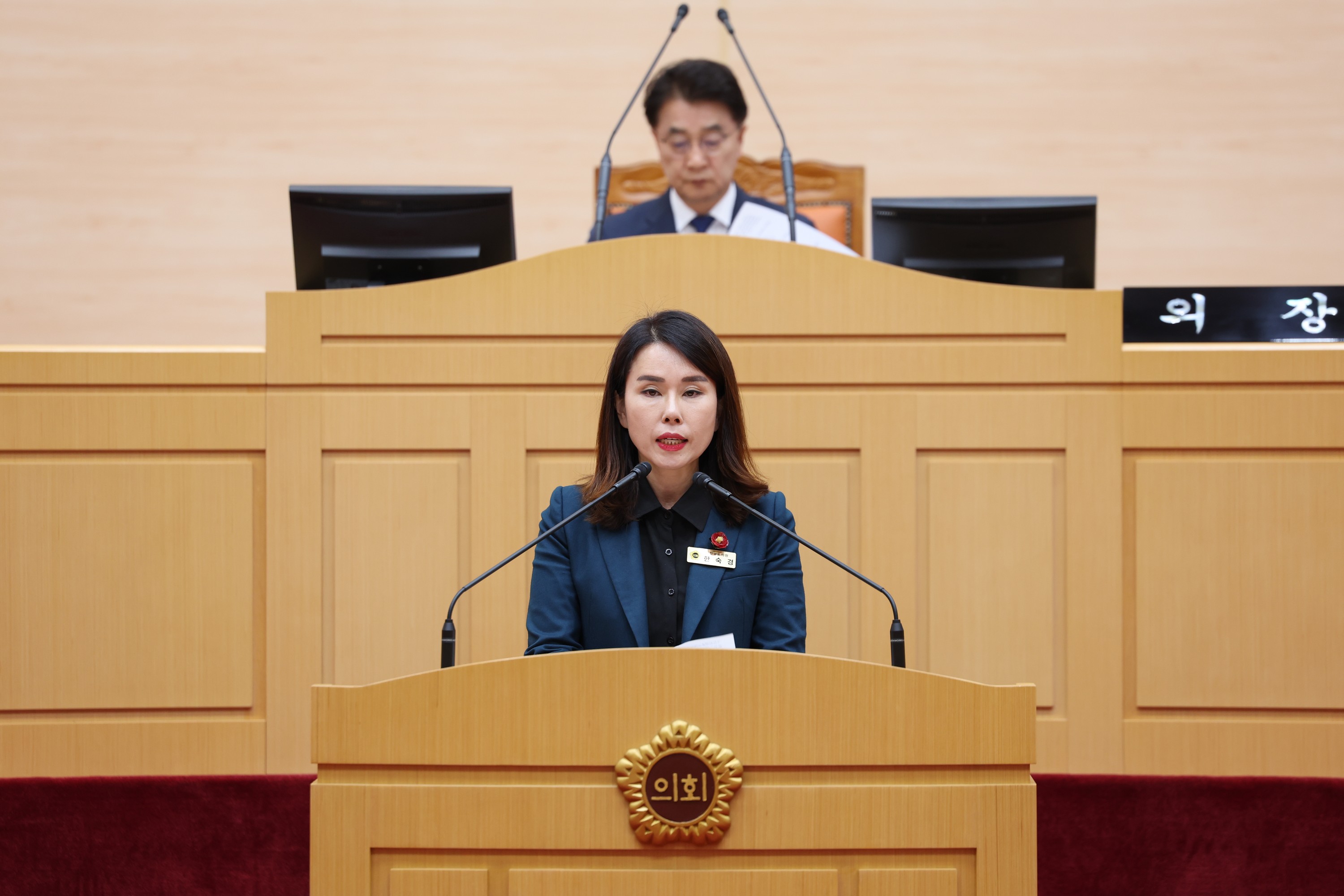 25년10월23일 제394회 임시회 제2차 본회의 - 0194