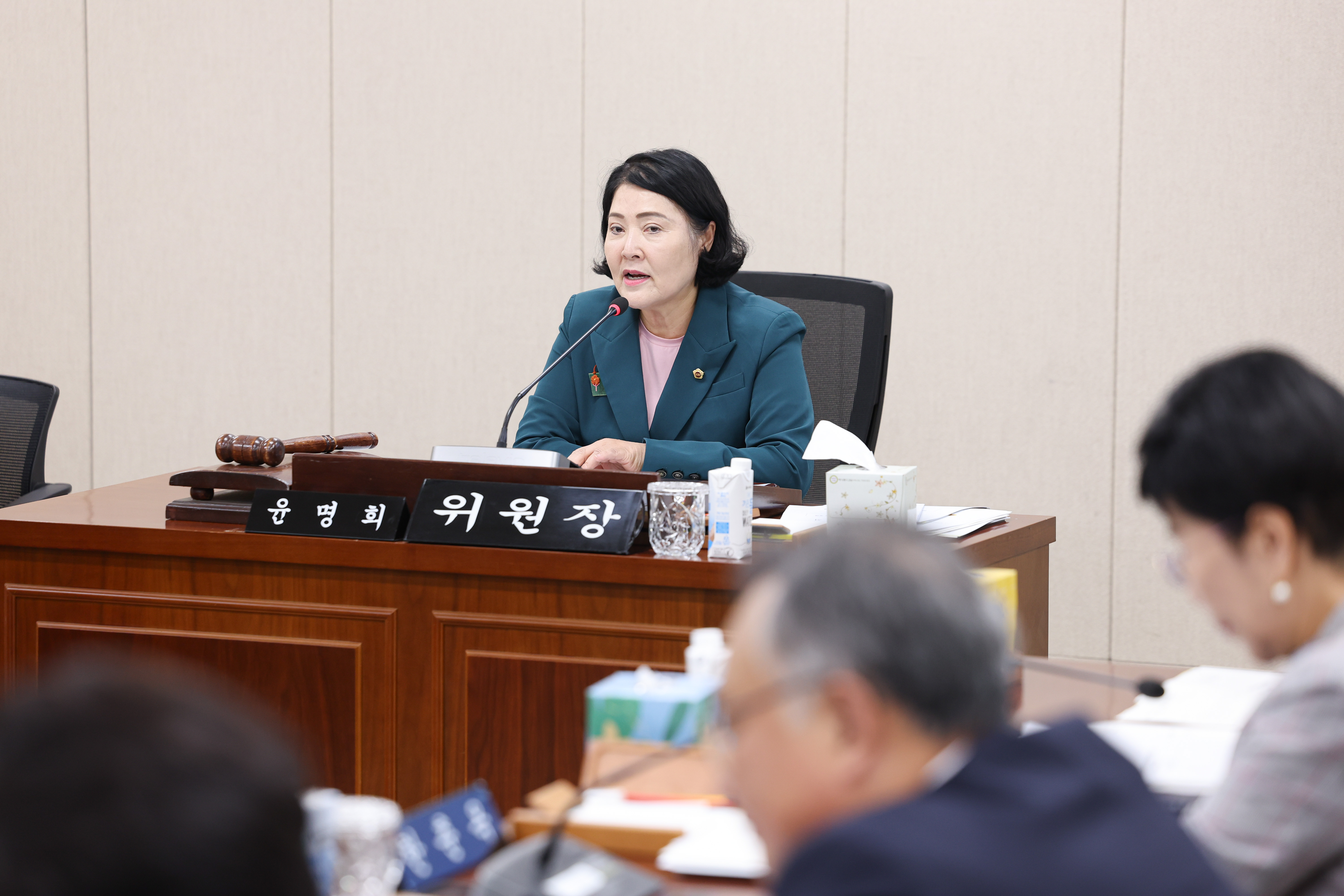 25년10월15일 제394회 임시회 경제관광문화위원회 회의 (36)6