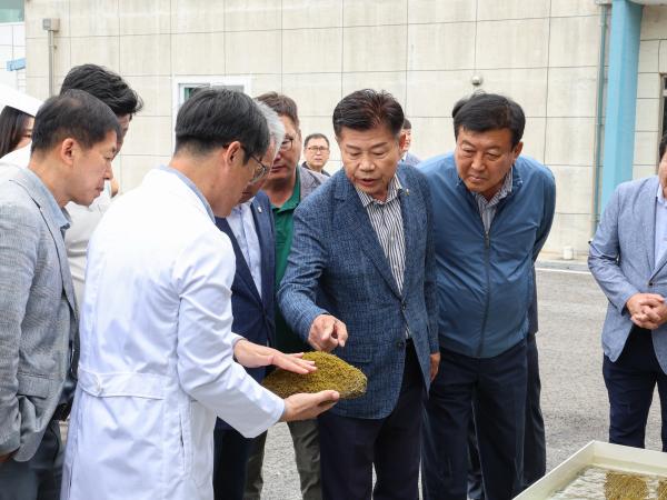 농수산위원회 현지활동 ‘해양수산과학원 수산종자연구소’ 첨부이미지 : 25년06월10일 농수산위원회 현지활동 ‘해양수산과학원 수산종자연구소’ (38).jpg