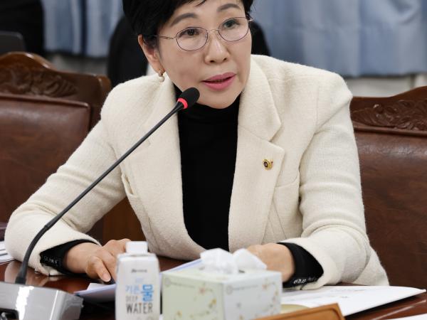 제387회 임시회 경제관광문화위원회 업무보고 등 회의 첨부이미지 : 25년02월13일 제387회 임시회 경제관광문화위원회 업무보고 등 회의 - 042.jpg