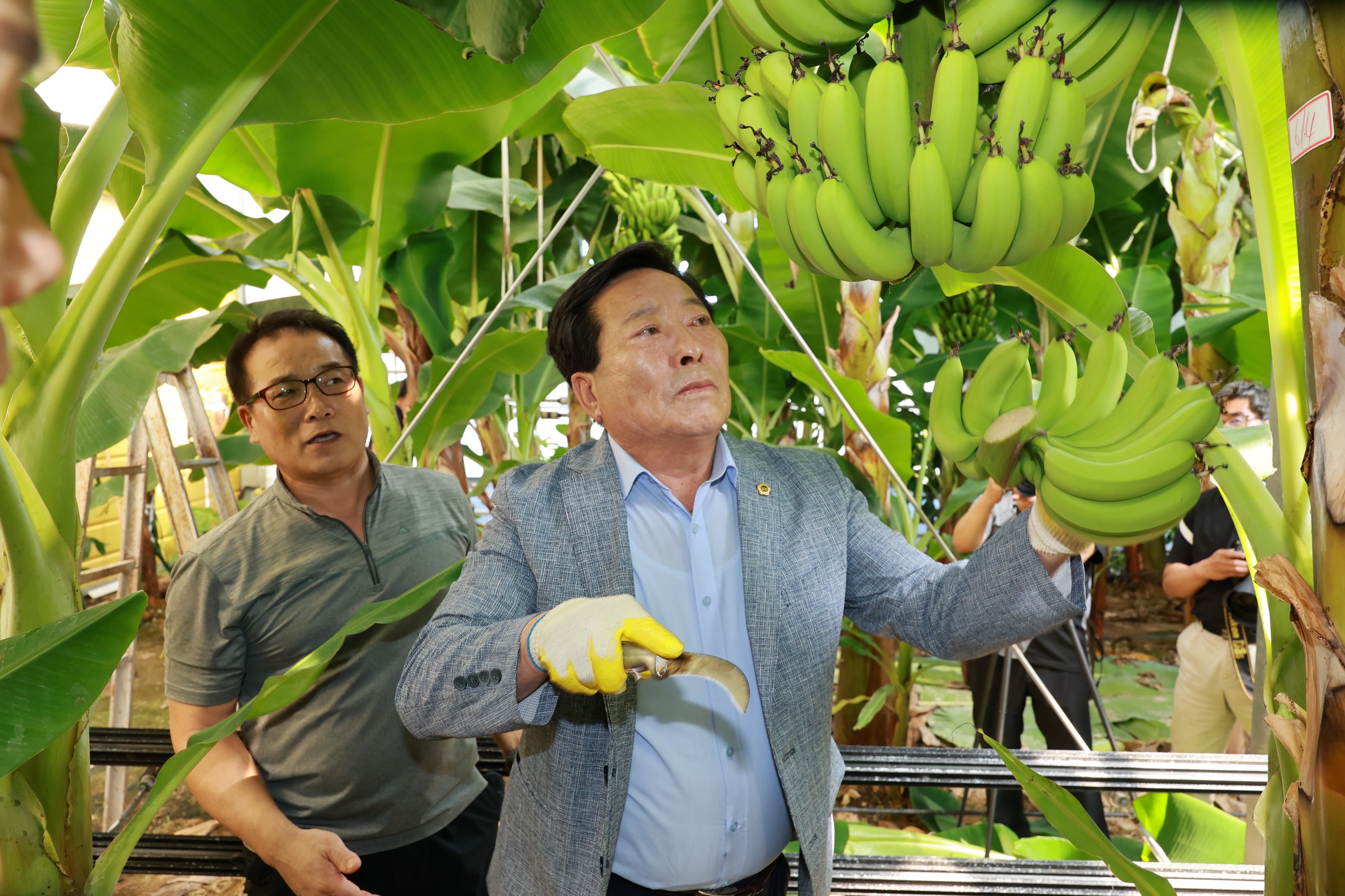 25년09월10일 제393회 임시회 농수산위원회 신안 바나나농장 현지활동 - 0997