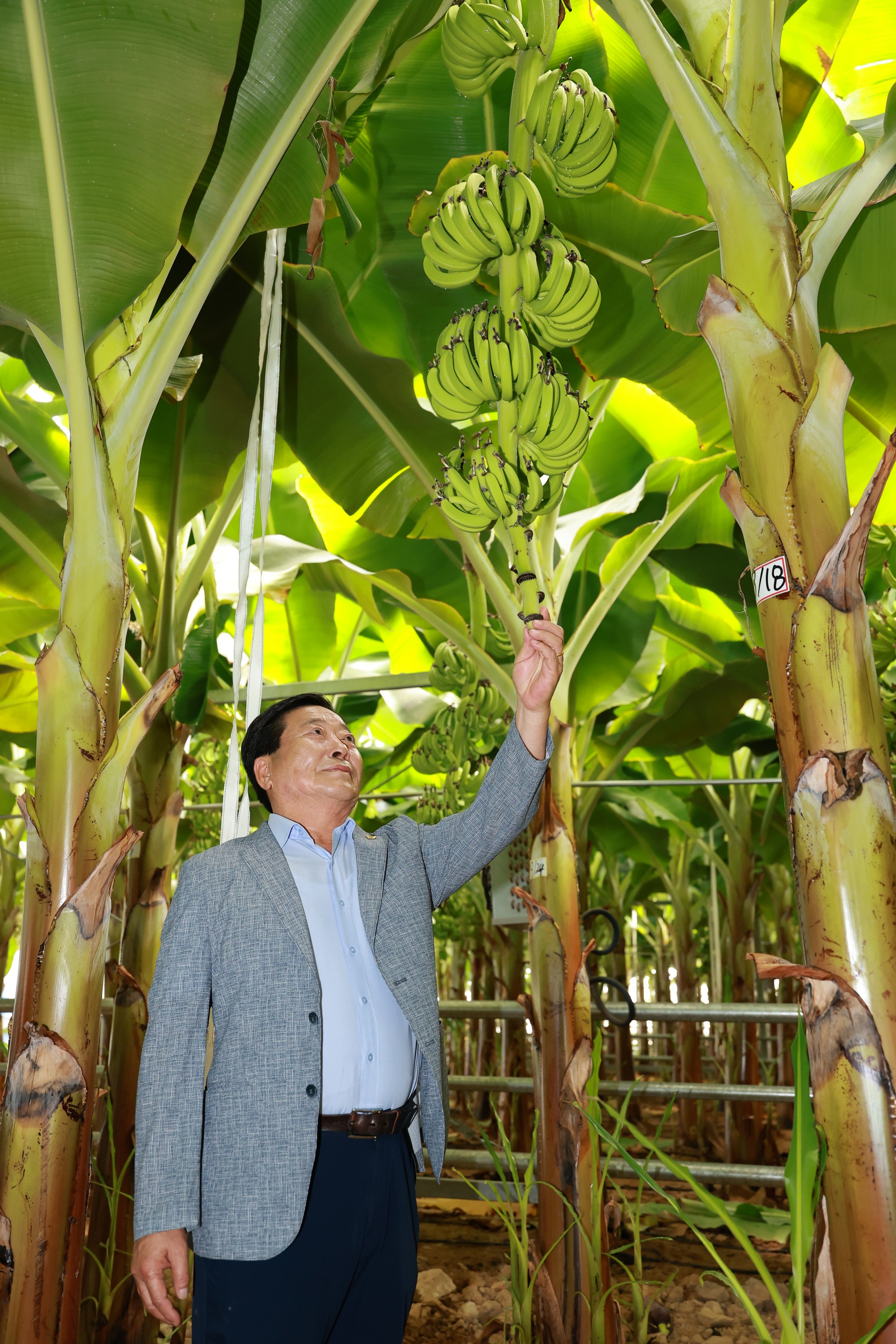 25년09월10일 제393회 임시회 농수산위원회 신안 바나나농장 현지활동 - 0571