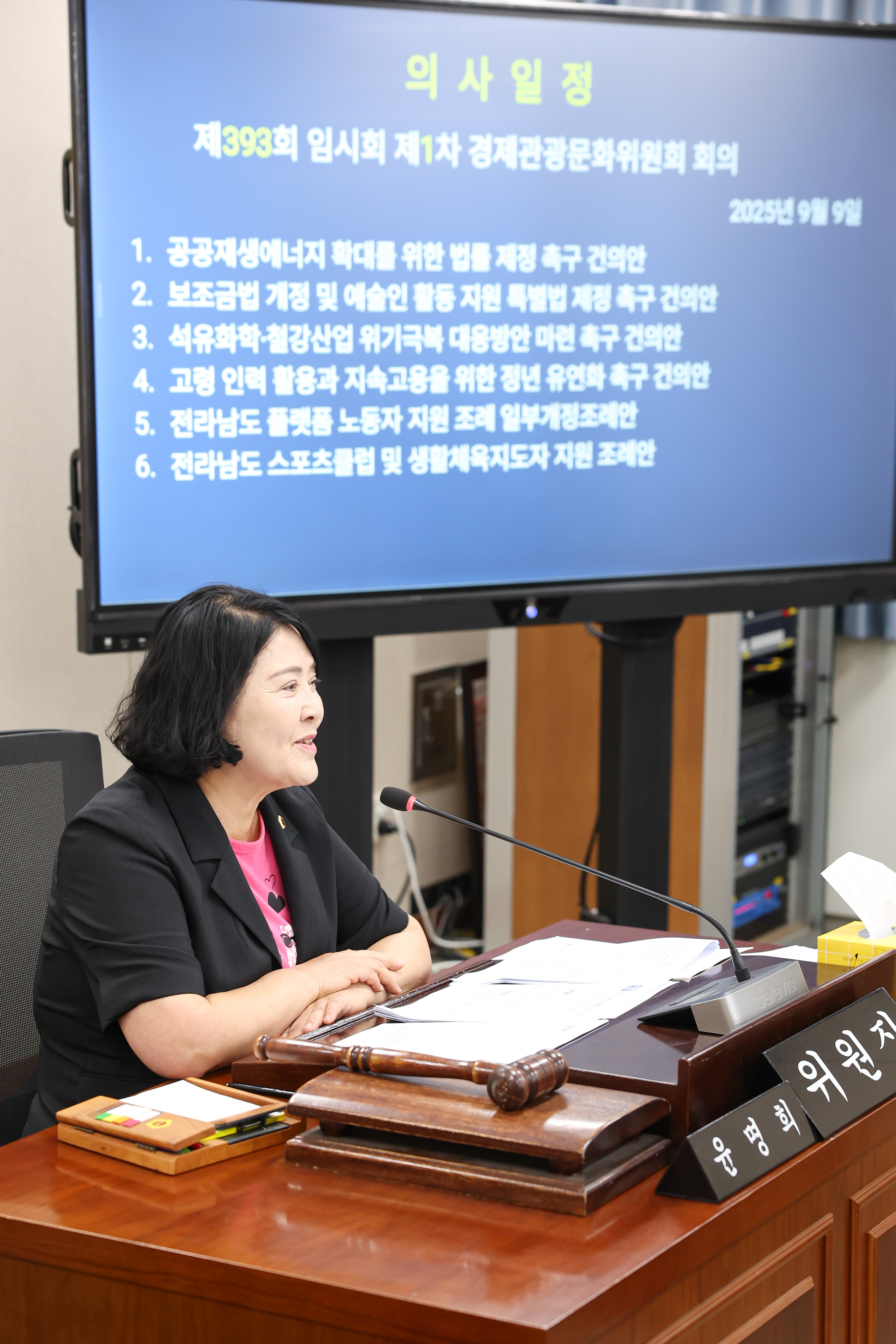 제393회 임시회 경제관광위원회 회의 첨부이미지 : 25년09월09일 제393회 임시회 경제관광위원회 회의 (25).jpg