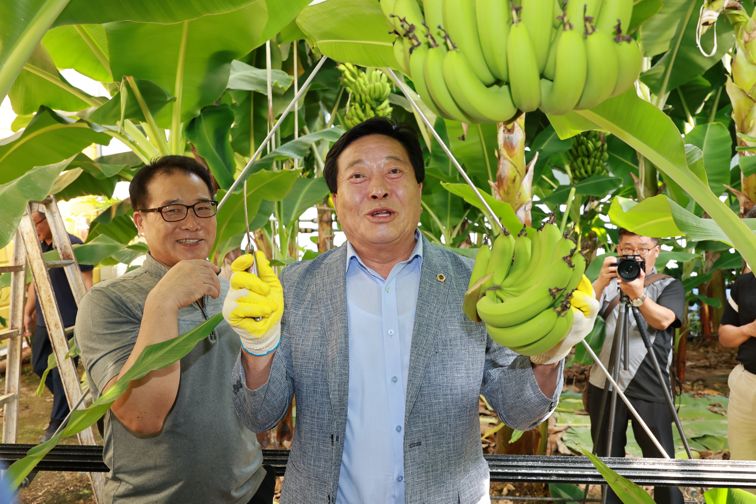 25년09월10일 제393회 임시회 농수산위원회 신안 바나나농장 현지활동 - 1008