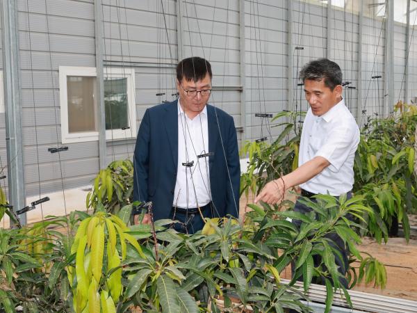 제393회 임시회 농수산위원회 신안 청년임대농장 망고학교 현지활동