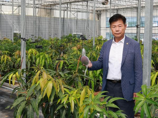 제393회 임시회 농수산위원회 신안 청년임대농장 망고학교 현지활동 첨부이미지 : 25년09월10일 제393회 임시회 농수산위원회 신안 청년임대농장 망고학교 현지활동 - 014.jpg