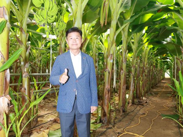 제393회 임시회 농수산위원회 신안 바나나농장 현지활동 첨부이미지 : 25년09월10일 제393회 임시회 농수산위원회 신안 바나나농장 현지활동 - 066.jpg