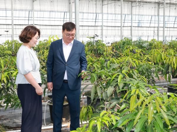 제393회 임시회 농수산위원회 신안 청년임대농장 망고학교 현지활동 첨부이미지 : 25년09월10일 제393회 임시회 농수산위원회 신안 청년임대농장 망고학교 현지활동 - 011.jpg