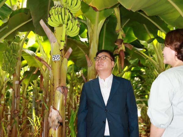 제393회 임시회 농수산위원회 신안 바나나농장 현지활동